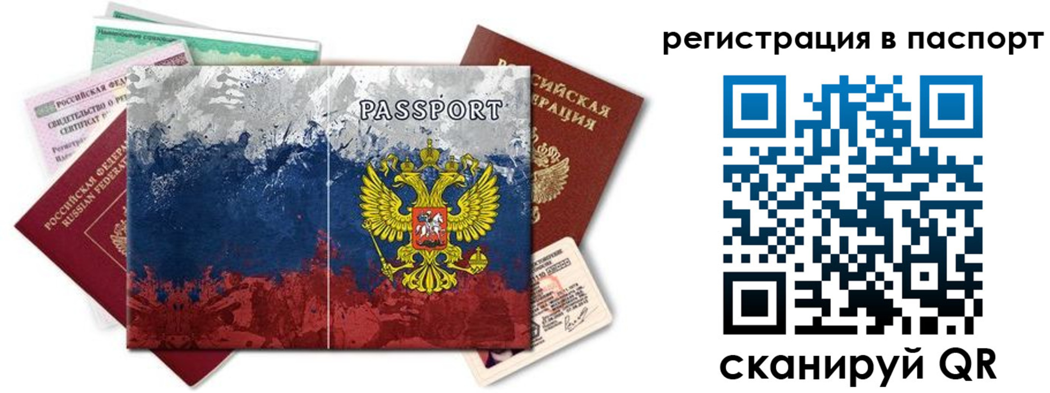 прописка поиск в Ртищево